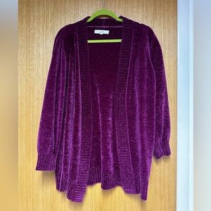 The coziest Loft sweater/ cardigan